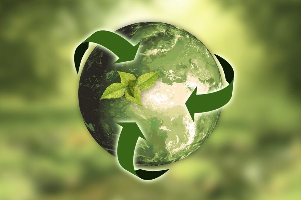 Bæredygtighed Betydning: Vejen mod en mere ansvarlig fremtid