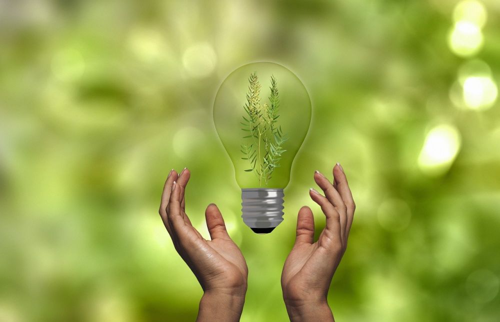 Bæredygtighed definition: Hvad du bør vide