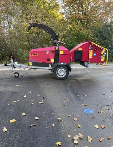 Leje af flishugger sjællands odde